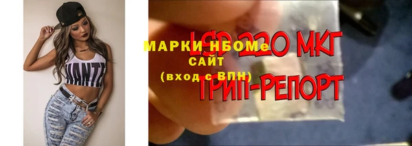 дживик Беломорск