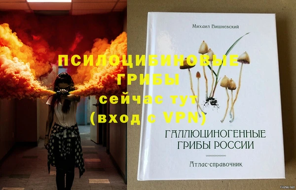 ешки Богданович