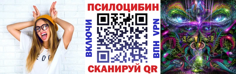 Псилоцибиновые грибы Cubensis  Первомайск 
